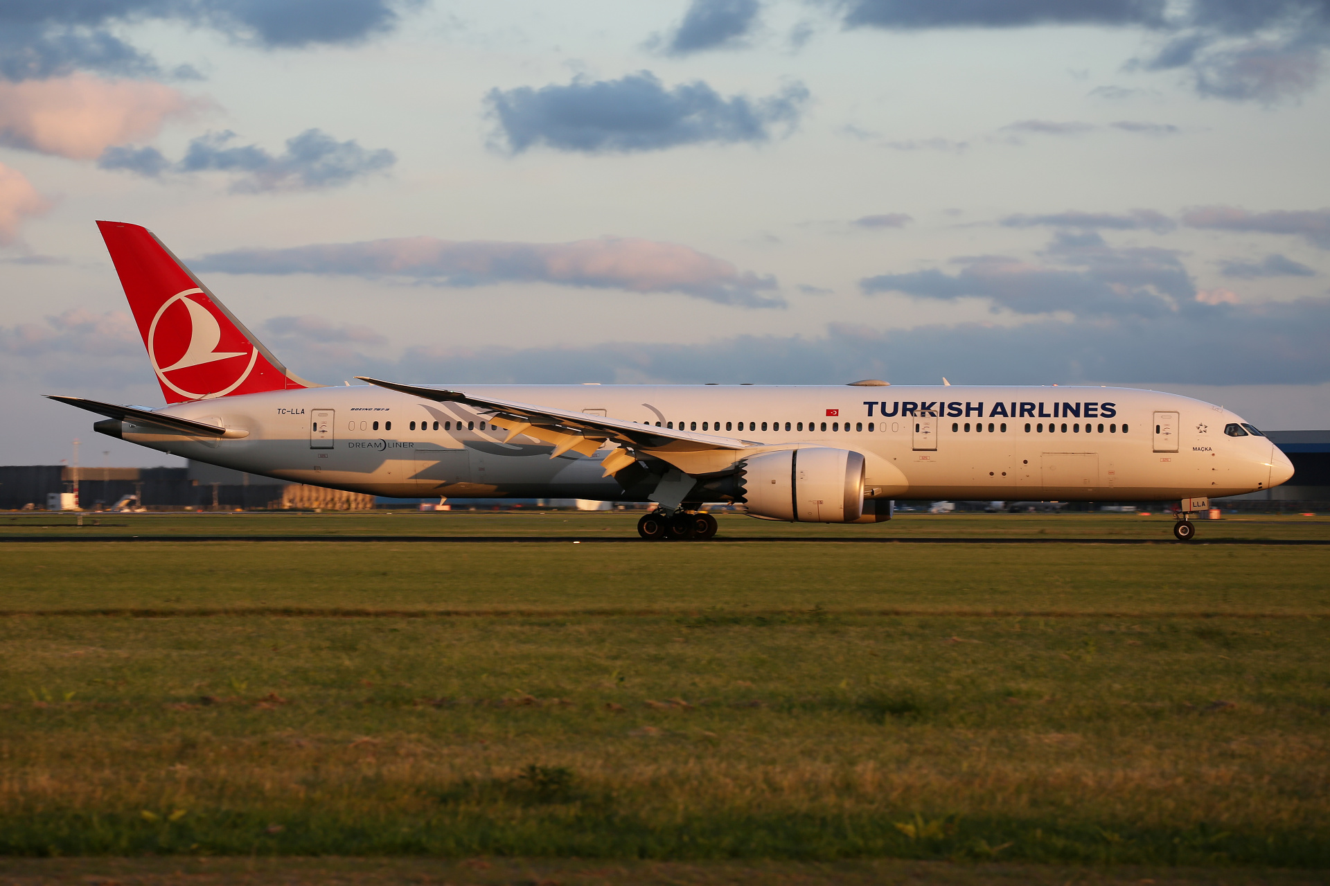 TC-LLA, THY Turkish Airlines (Aircraft » Schiphol Spotting » Boeing 787-9 Dreamliner)