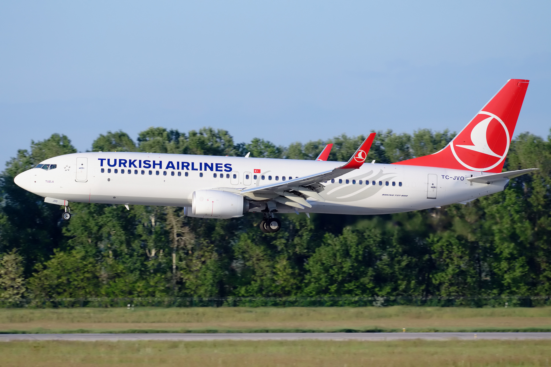TC-JVO, THY Turkish Airlines (Samoloty » Spotting na Ferihegy » Boeing 737-800)
