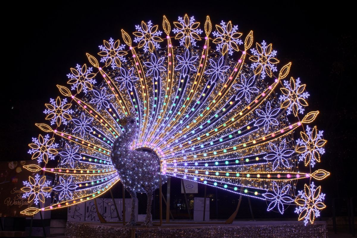 Paw w Alejach Ujazdowskich (Warszawa » Świąteczna iluminacja)