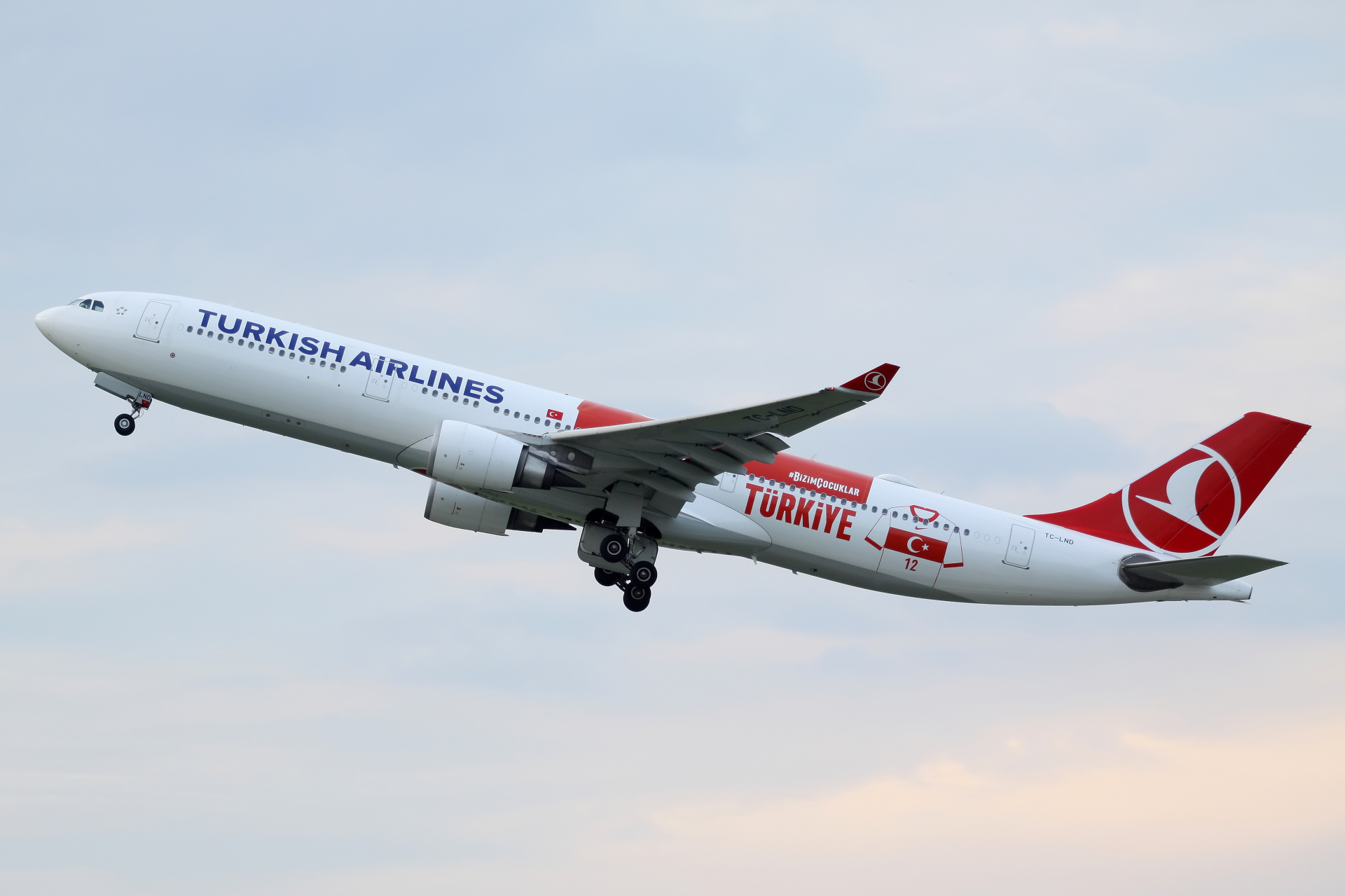TC-LND (malowanie Tureckiej Narodowej Drużyny Piłkarskiej) (Samoloty » Spotting na EPWA » Airbus A330-300 » THY Turkish Airlines)