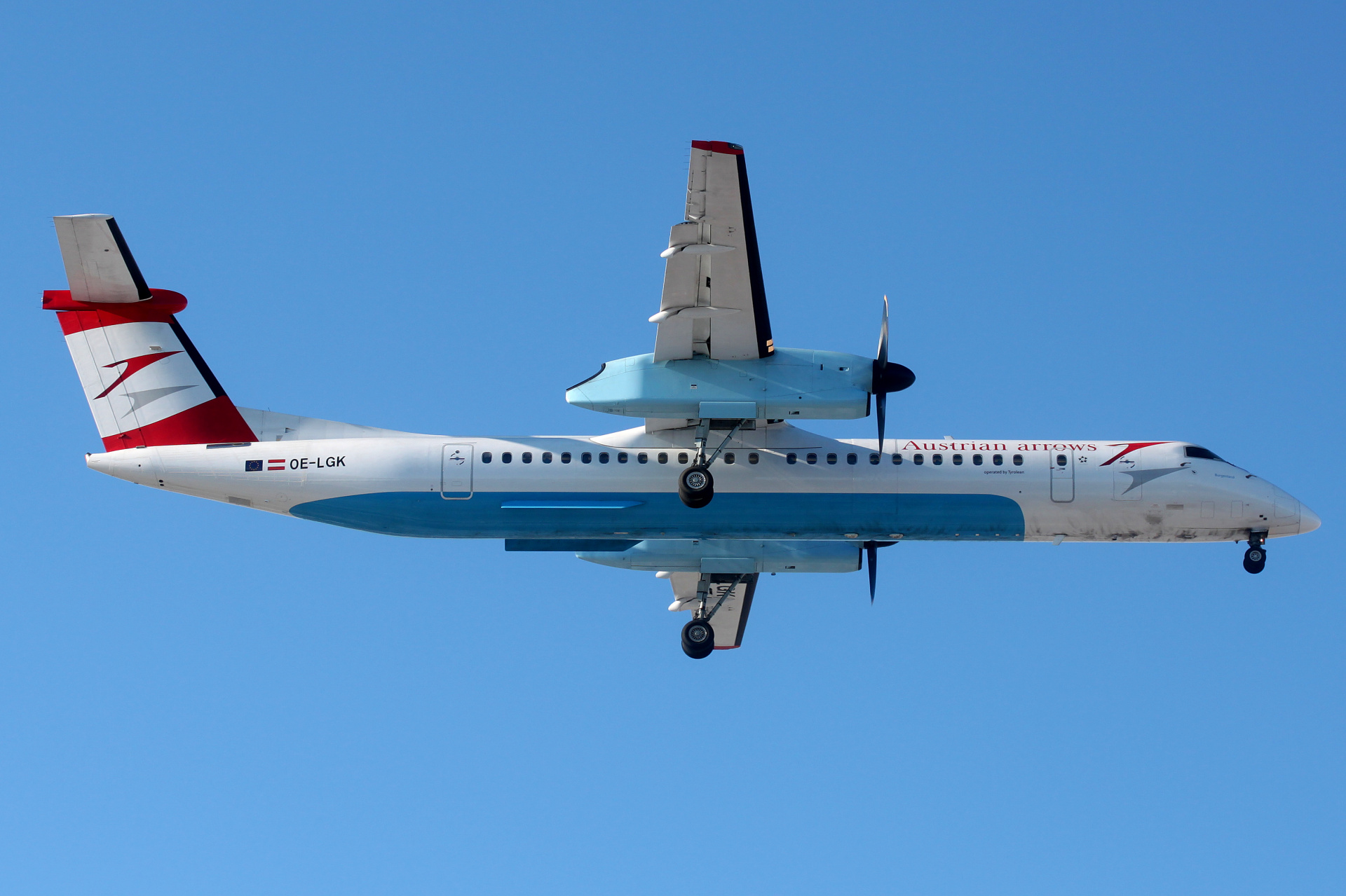 OE-LGK, Austrian arrows (Tyrolean) (Samoloty » Spotting na EPWA » De Havilland Canada DHC-8 Dash 8 » Austrian Airlines)