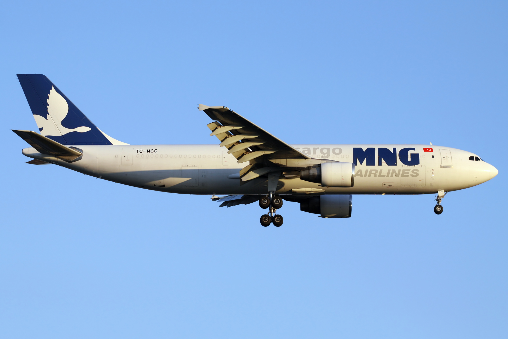 TC-MCG, MNG Airlines Cargo (Samoloty » Port Lotniczy im. Atatürka w Stambule » Airbus A300B4-600F)