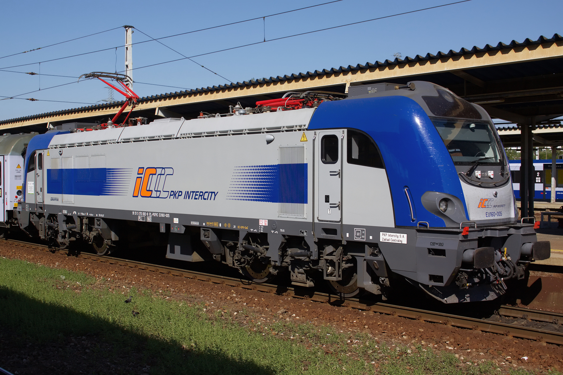 E4DCU EU160-005 (Pojazdy » Pociągi i lokomotywy » Newag Griffin)