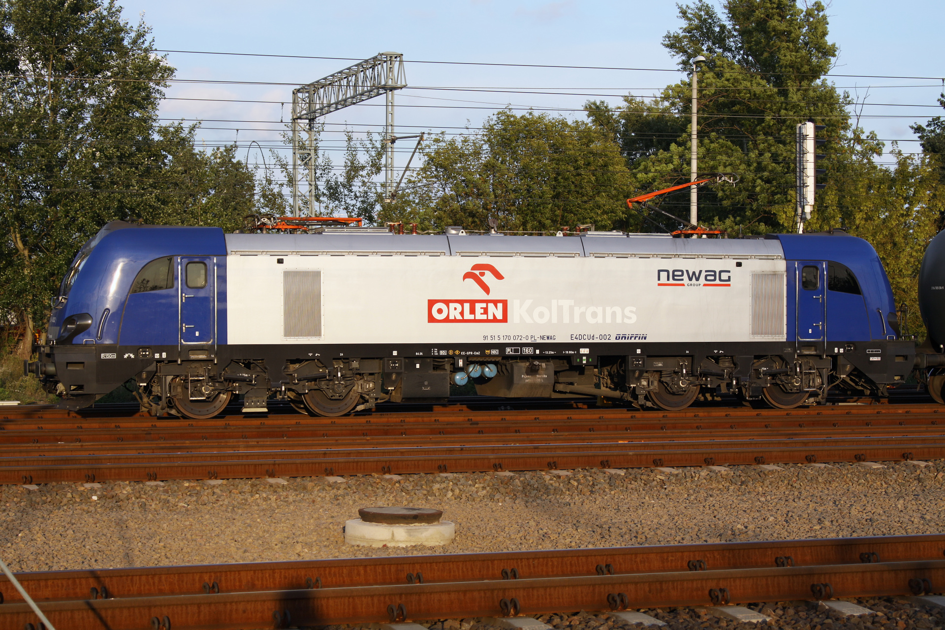 E4DCUd-002 (Pojazdy » Pociągi i lokomotywy » Newag Griffin)