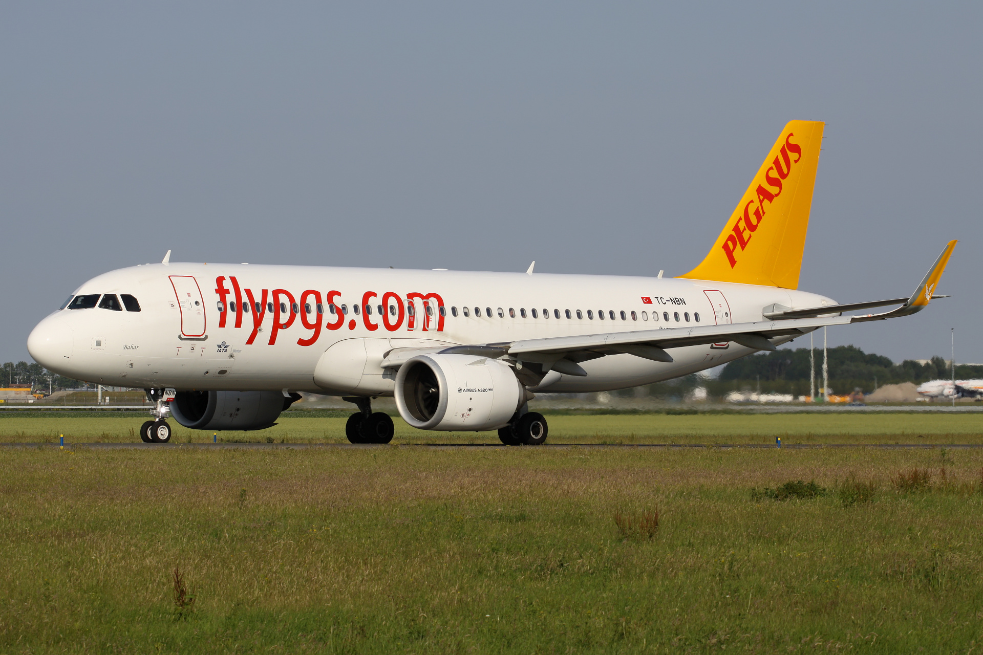 TC-NBN, Pegasus Airlines (Samoloty » Spotting na Schiphol » Airbus A320neo)