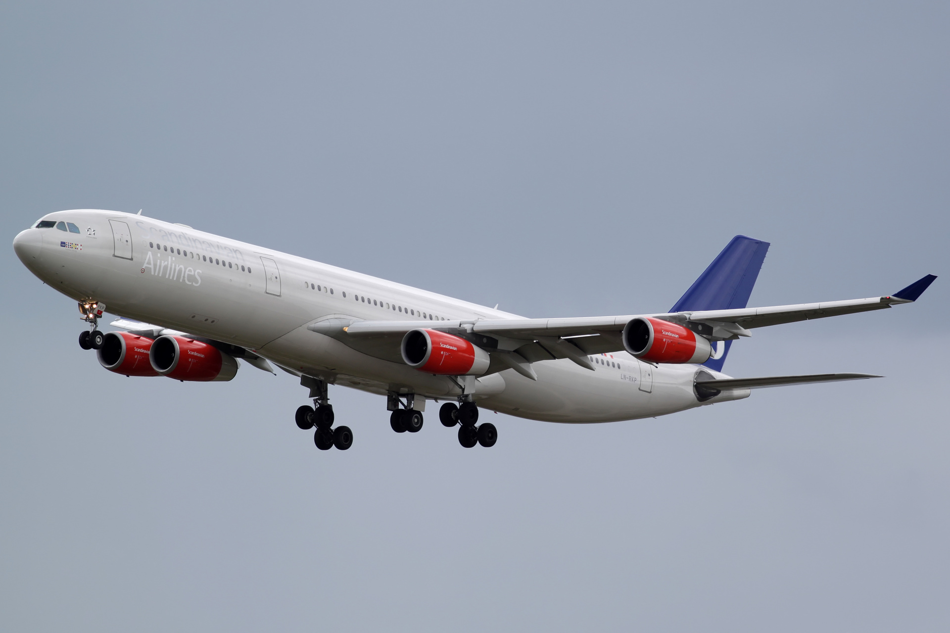 LN-RKP, SAS Scandinavian Airlines (Samoloty » Spotting w Kopenhadze Kastrup » Airbus A340-300)