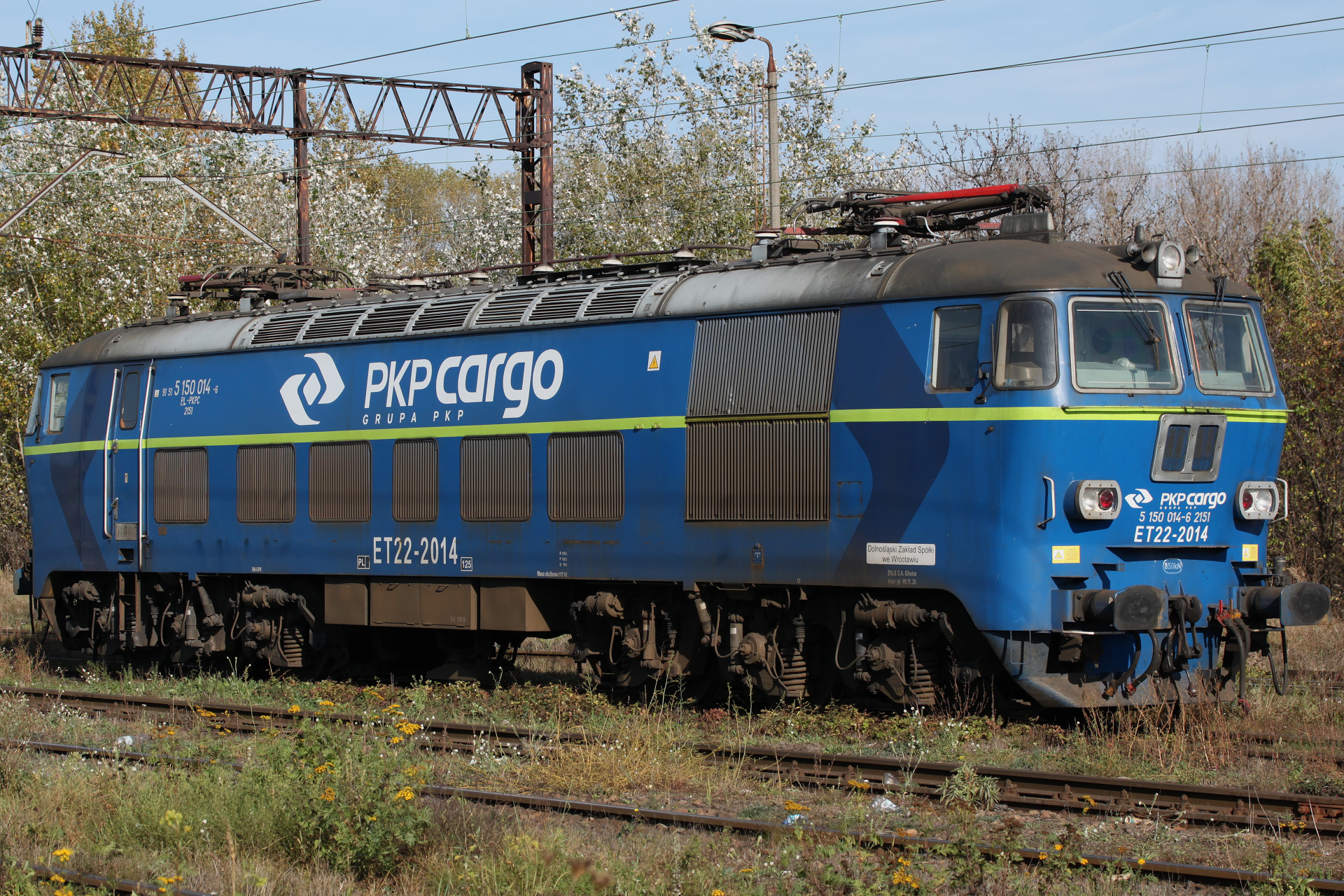 ET22-2014 (Vehicles » Trains and Locomotives » Pafawag 201E)