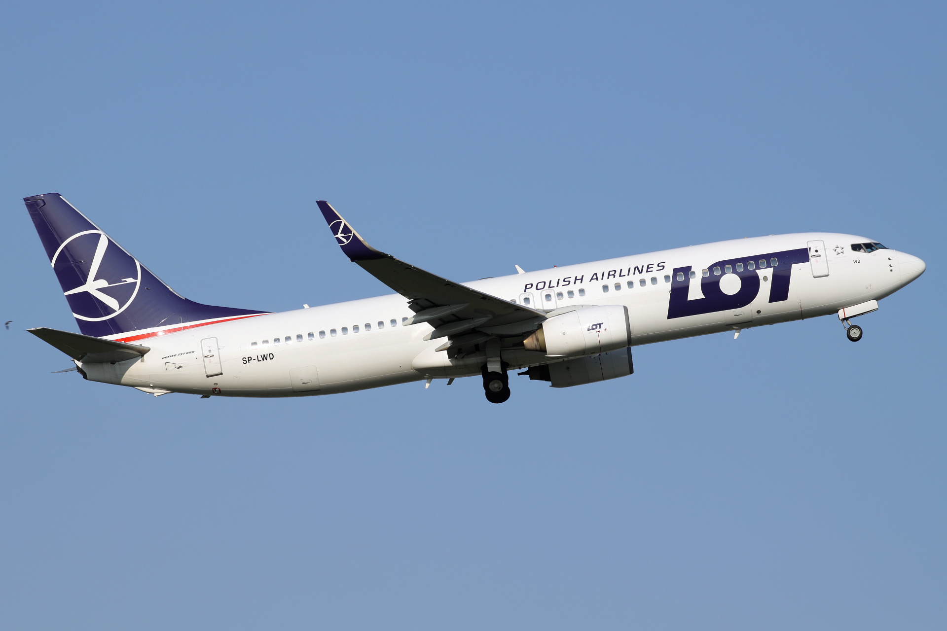 SP-LWD (Aircraft » EPWA Spotting » Boeing 737-800 » LOT Polish Airlines)