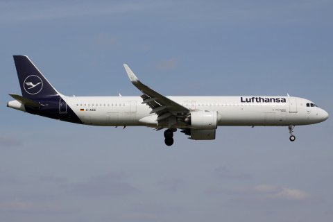 D-AIEE, Lufthansa