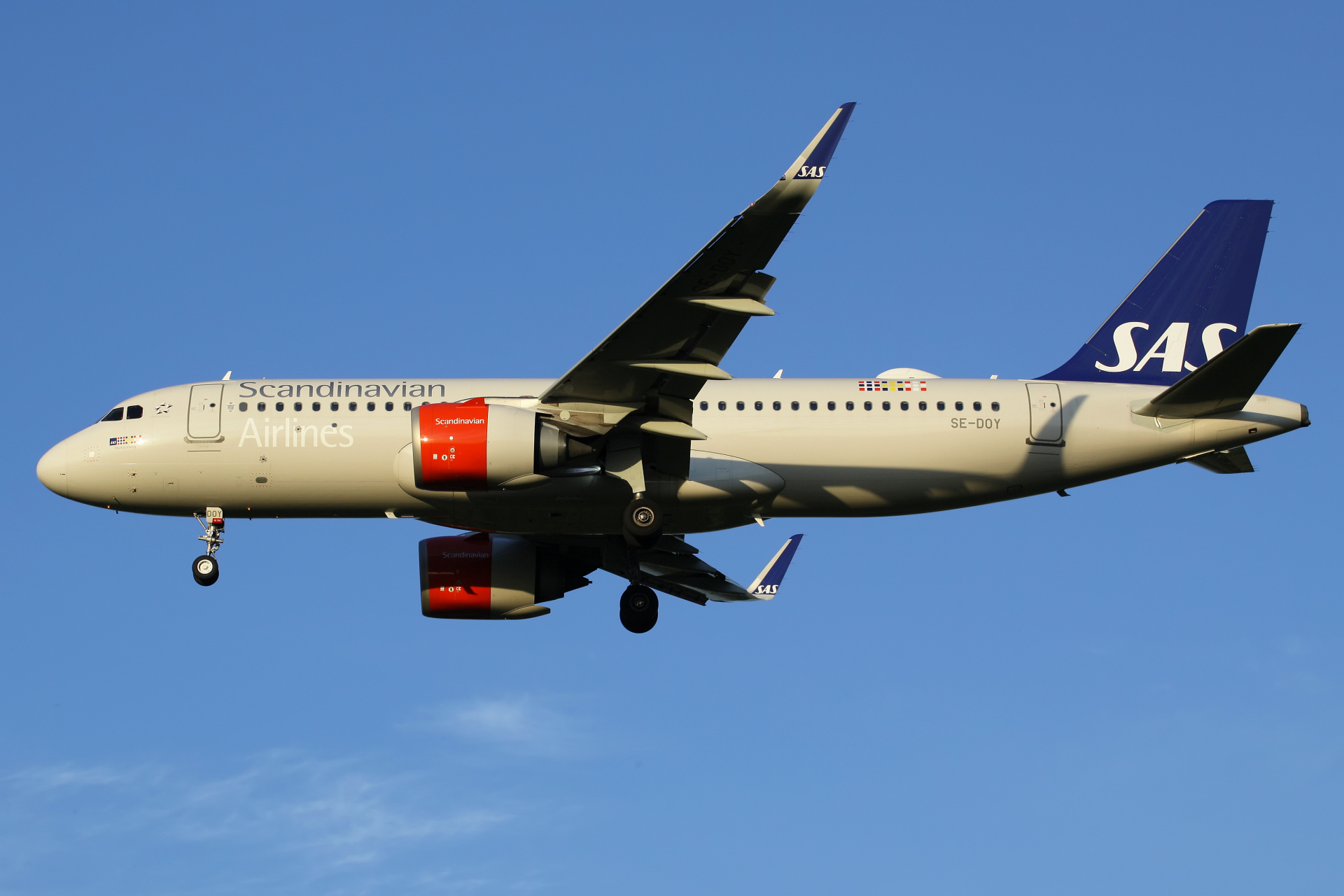 SE-DOY, SAS Scandinavian Airlines (Aircraft » EPWA Spotting » Airbus A320neo)