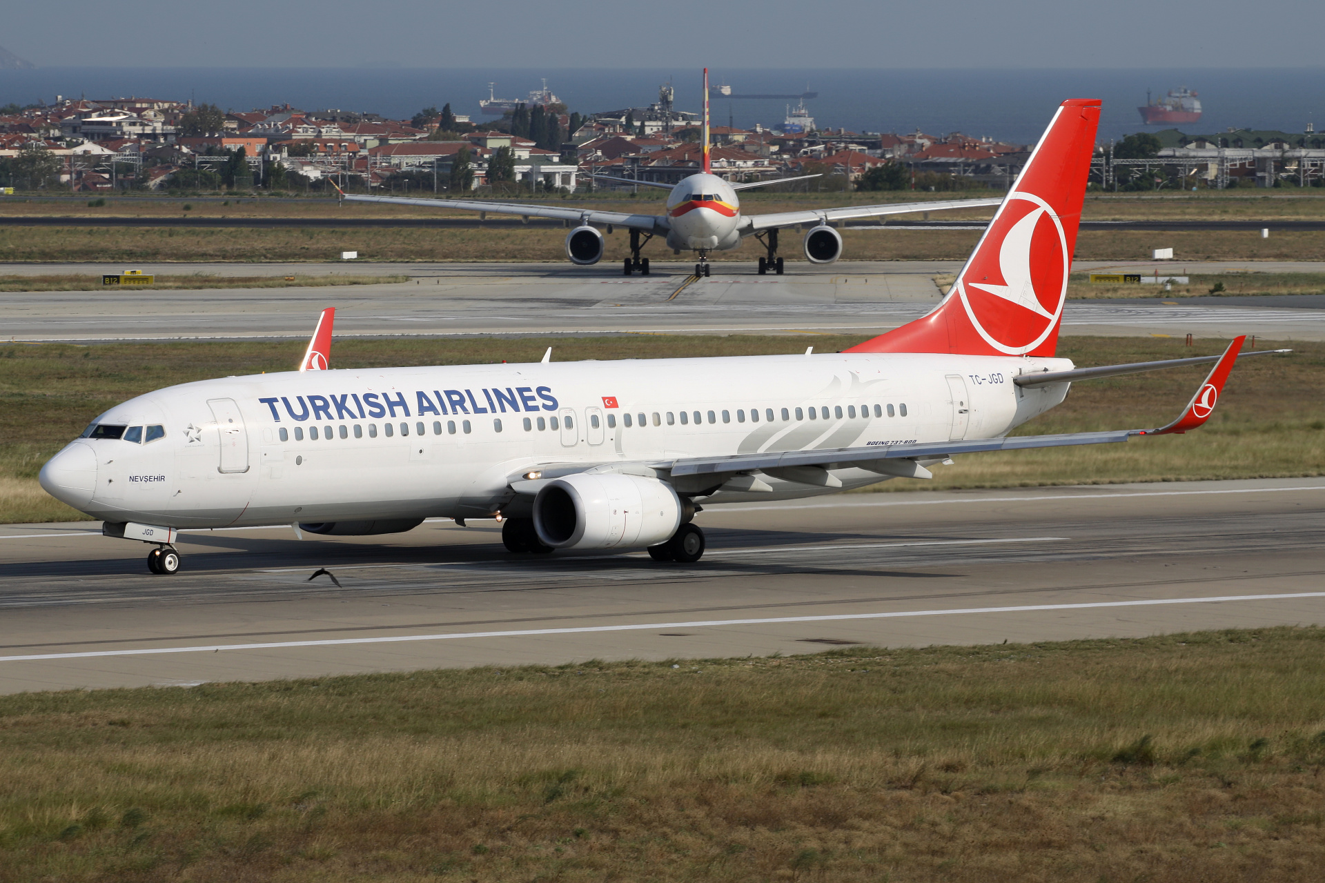 TC-JGD (Samoloty » Port Lotniczy im. Atatürka w Stambule » Boeing 737-800 » THY Turkish Airlines)