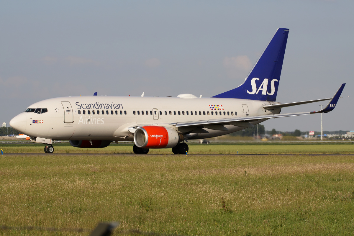 LN-TUM, SAS Scandinavian Airlines (Samoloty » Spotting na Schiphol » Boeing 737-700)