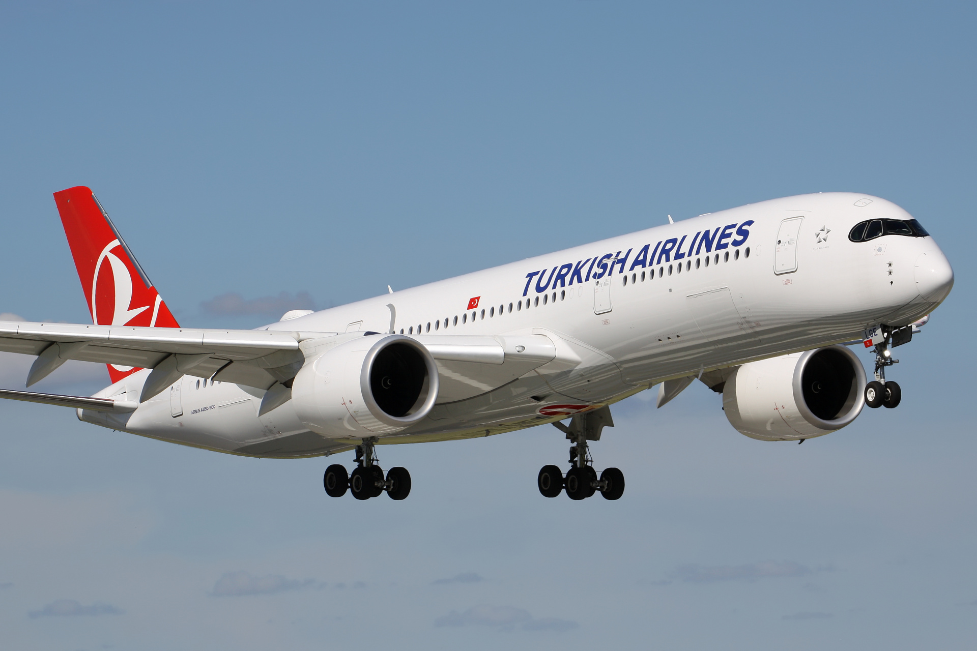 TC-LGE (Aircraft » Schiphol Spotting » Airbus A350-900 » THY Turkish Airlines)