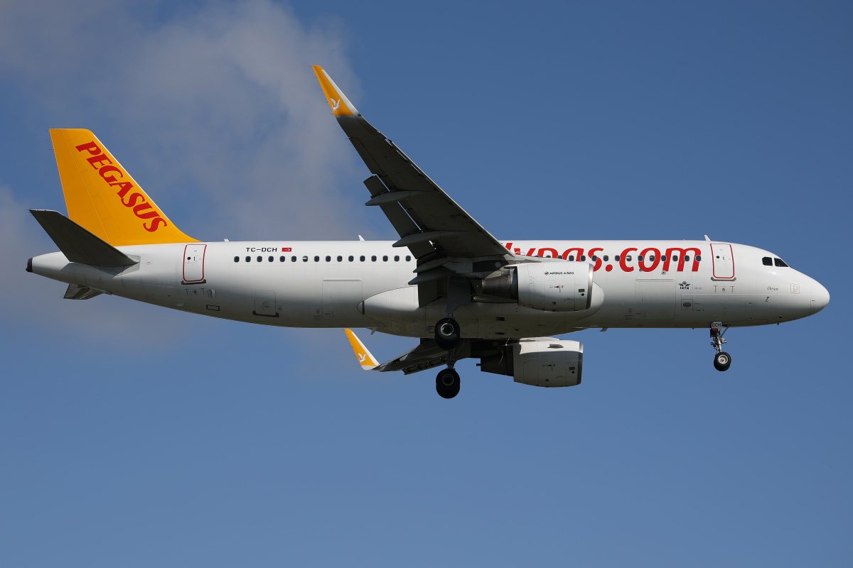 TC-DCH, Pegasus Airlines (Aircraft » EPWA Spotting » Airbus A320-200)