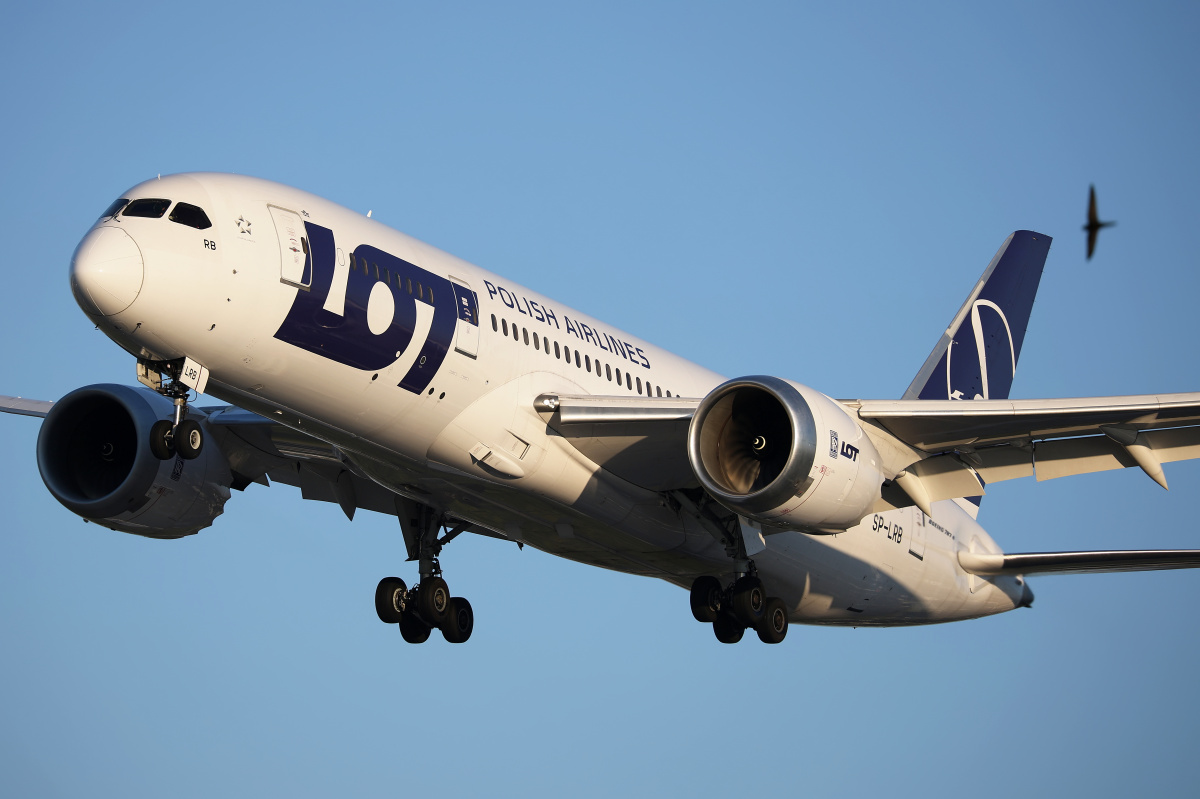 SP-LRB (Aircraft » EPWA Spotting » Boeing 787-8 Dreamliner » LOT Polish Airlines)