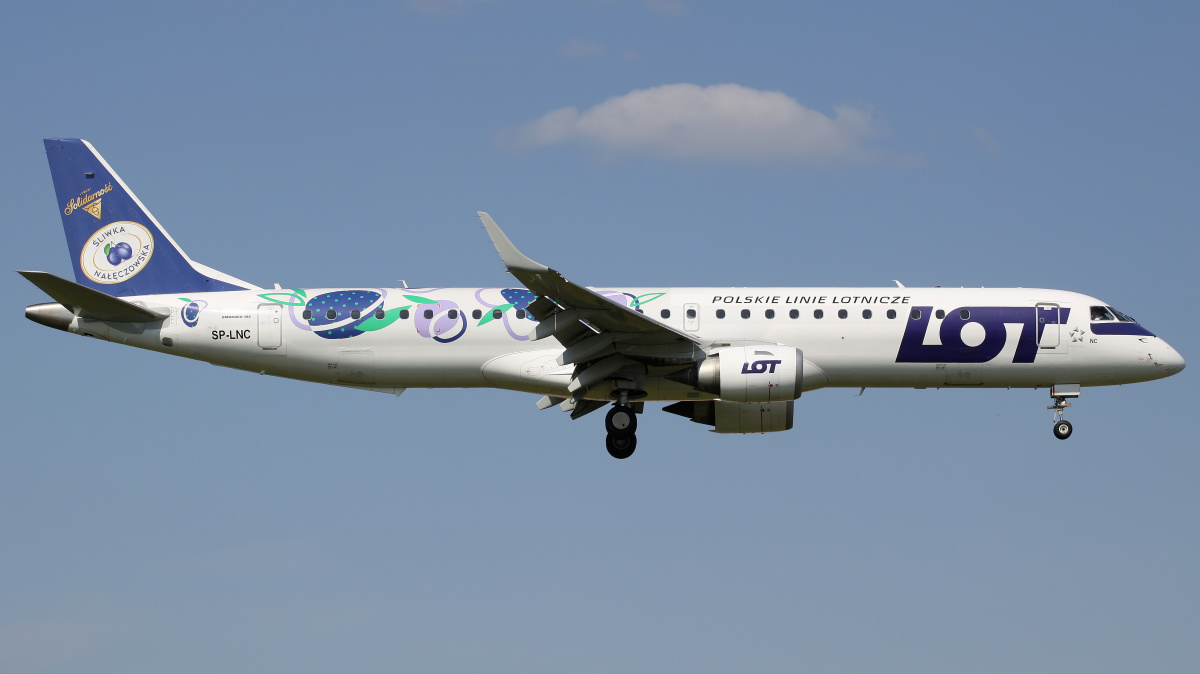 SP-LNC (Śliwka Nałęczowska livery)