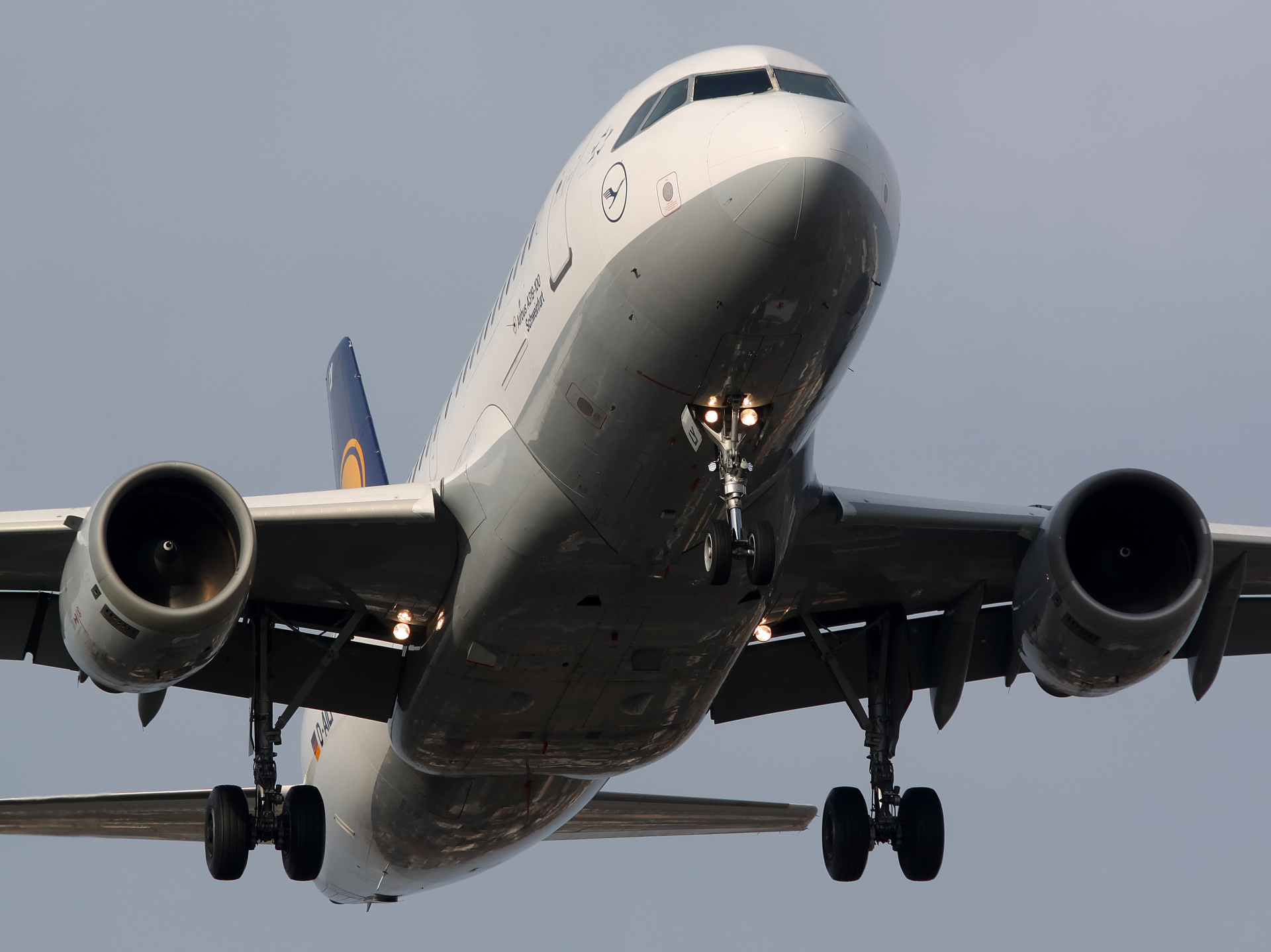D-AILY (Aircraft » EPWA Spotting » Airbus A319-100 » Lufthansa)