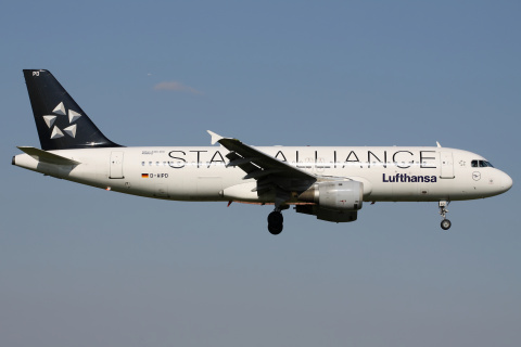D-AIPD (Star Alliance livery)