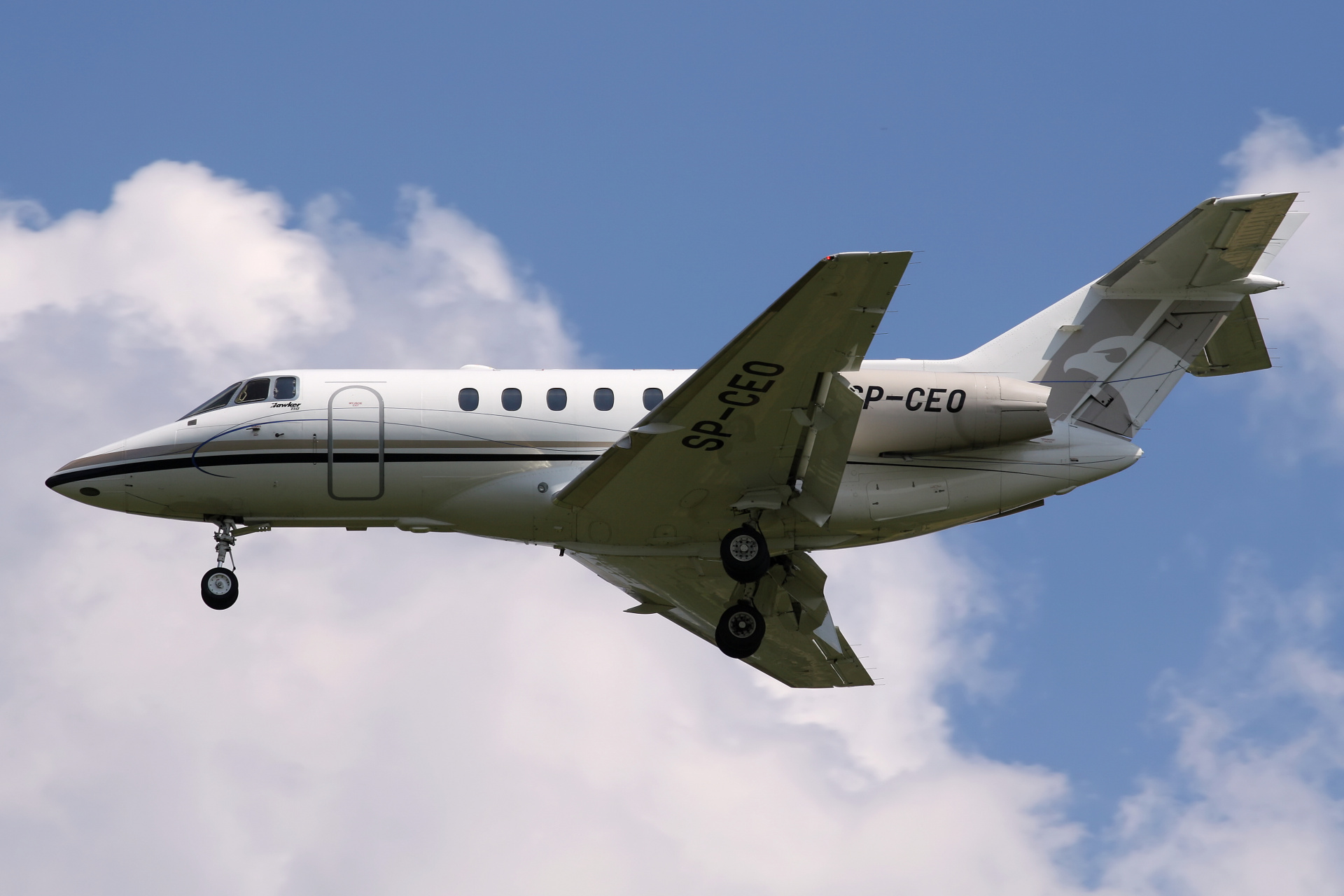 SP-CEO, Jet Story (Aircraft » EPWA Spotting » BAe 125 and revisions » Raytheon Hawker 750)
