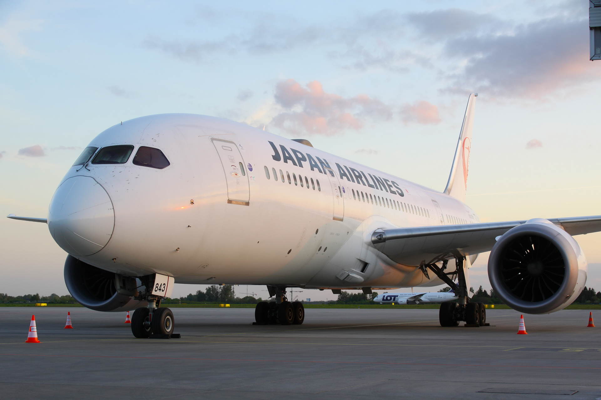 JA843J, Japan Airlines (Aircraft » EPWA Spotting » Boeing 787-8 Dreamliner)