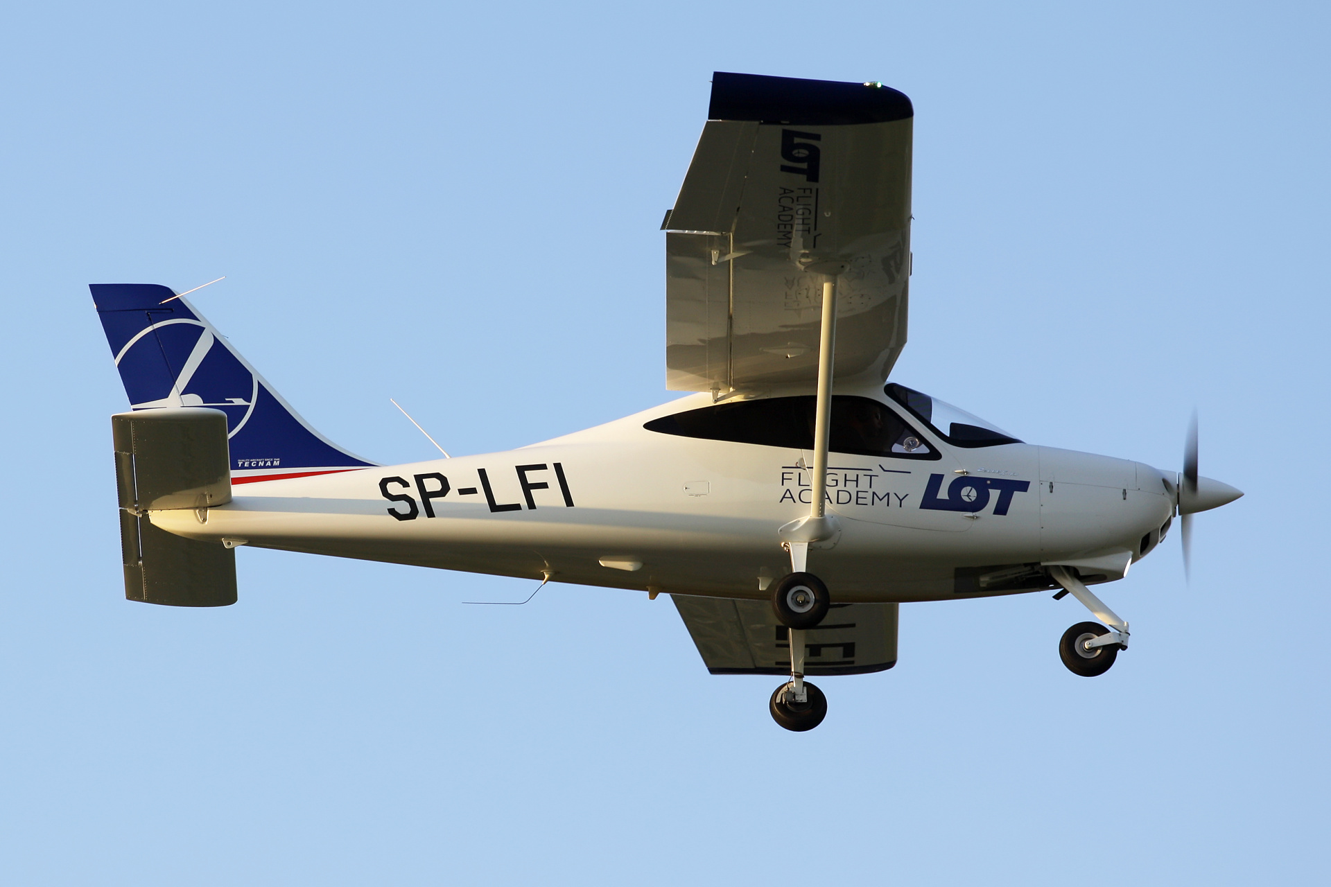 Tecnam P2008JC MkII, SP-LFI, LOT Flight Academy (Samoloty » Spotting na EPWA » pozostałe)