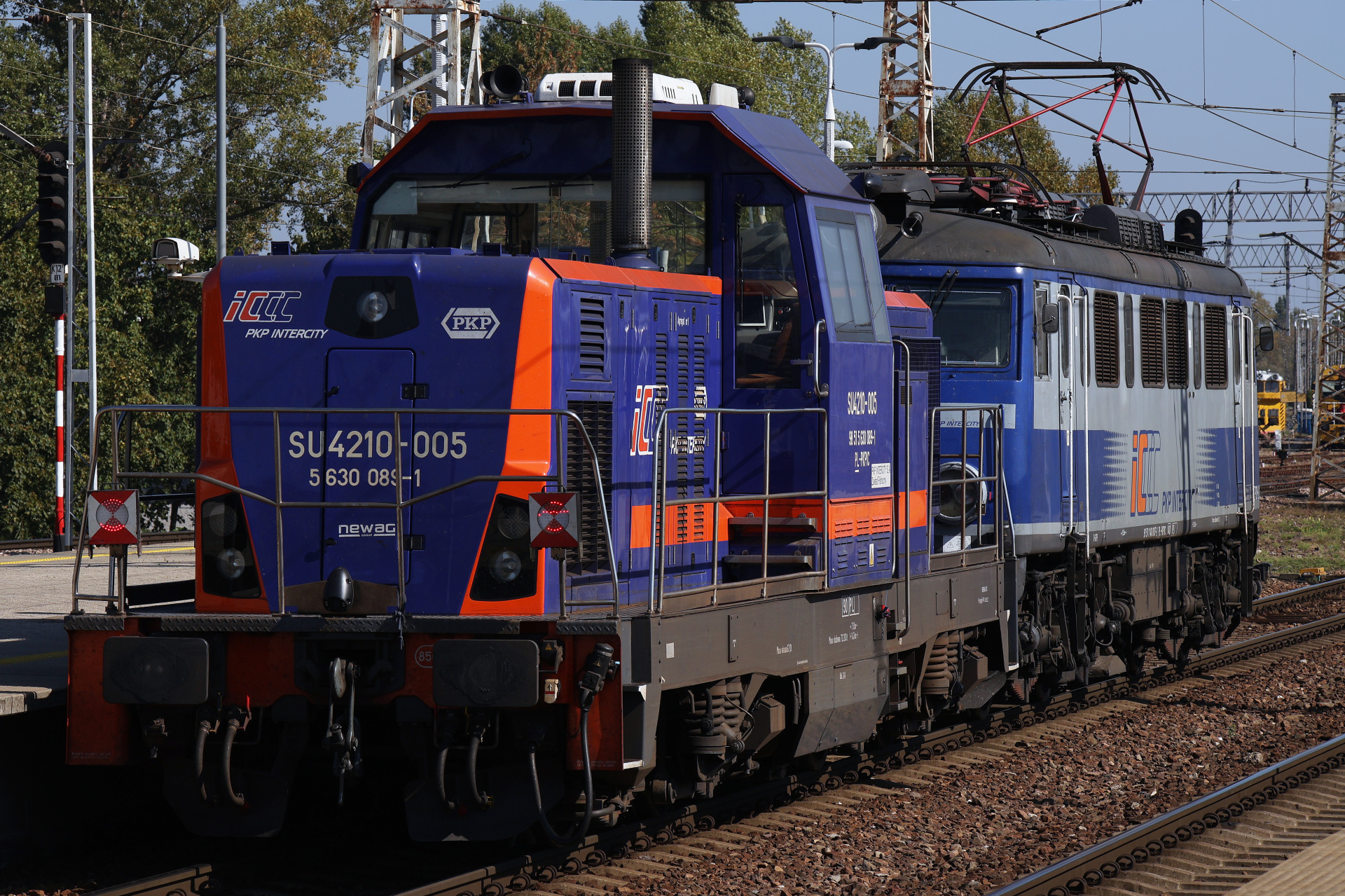Newag 6Dl SU4210-005 (Pojazdy » Pociągi i lokomotywy)