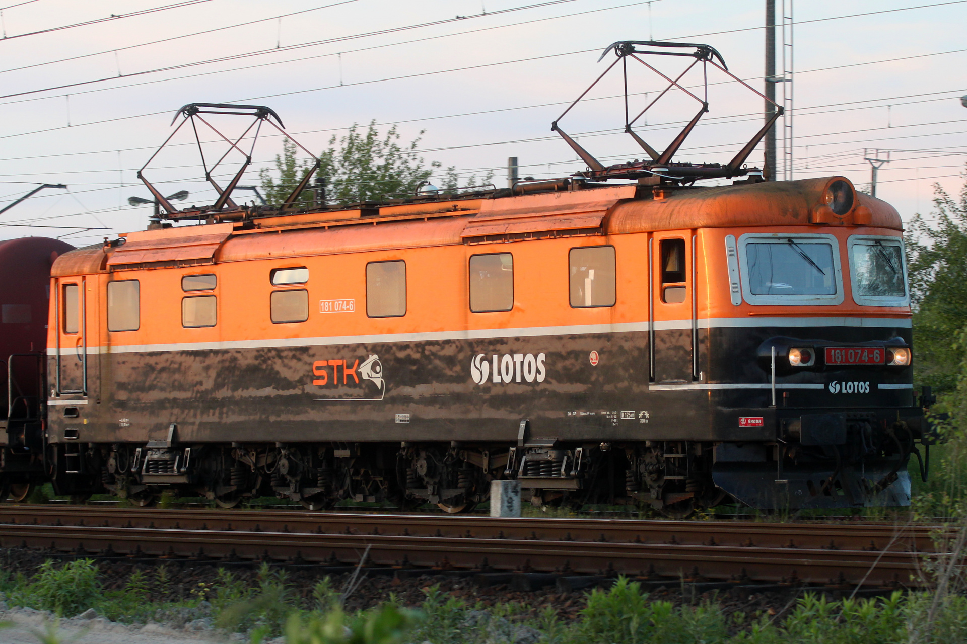 Škoda 31E 181.074-6 (Vehicles » Trains and Locomotives)