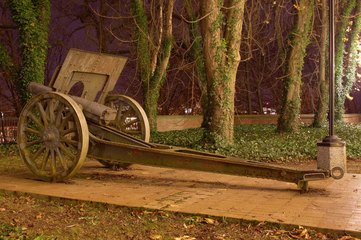 Cannon at Kazimierzowski Palace