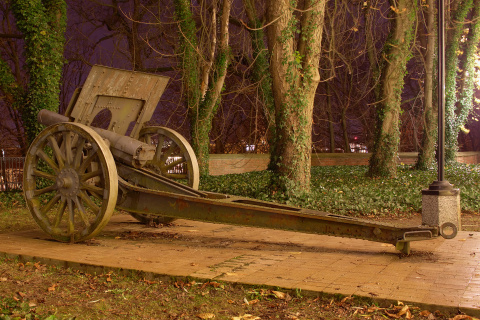 Cannon at Kazimierzowski Palace