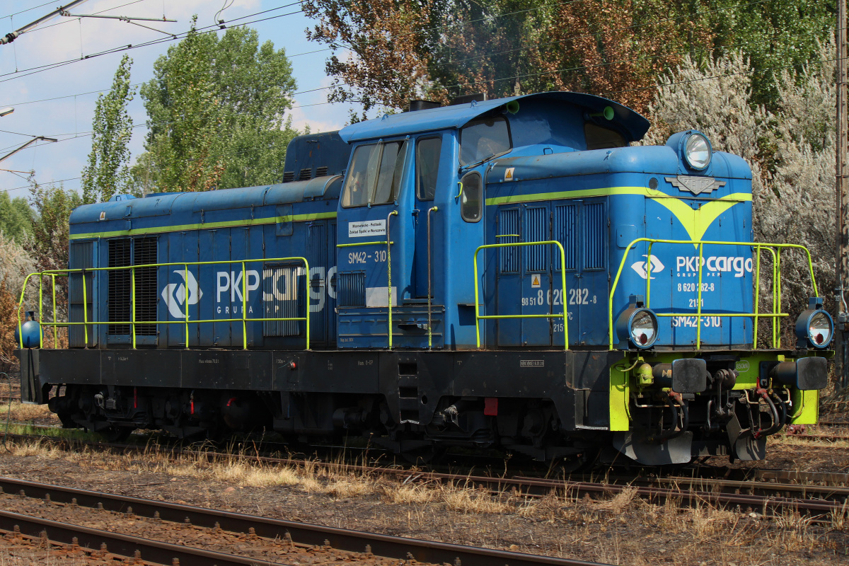 SM42-310 (Pojazdy » Pociągi i lokomotywy » Fablok Ls800 6D)