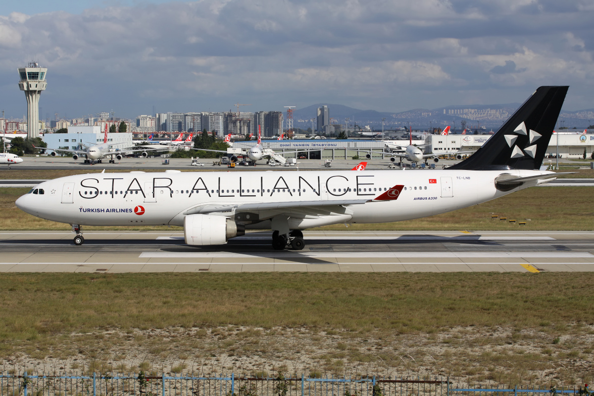 TC-LNB (malowanie Star Alliance) (Samoloty » Port Lotniczy im. Atatürka w Stambule » Airbus A330-200 » THY Turkish Airlines)