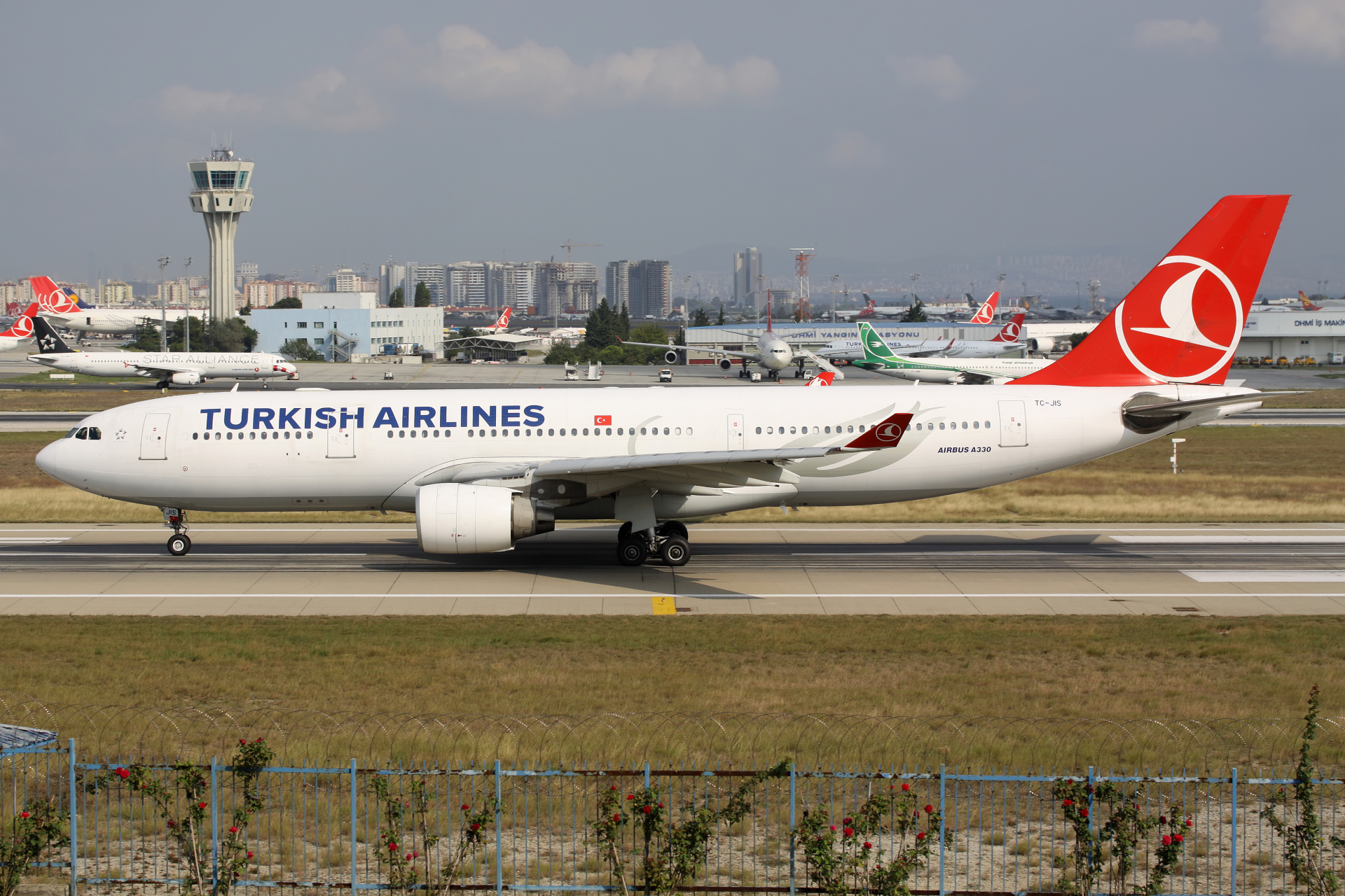 TC-JIS (Samoloty » Port Lotniczy im. Atatürka w Stambule » Airbus A330-200 » THY Turkish Airlines)