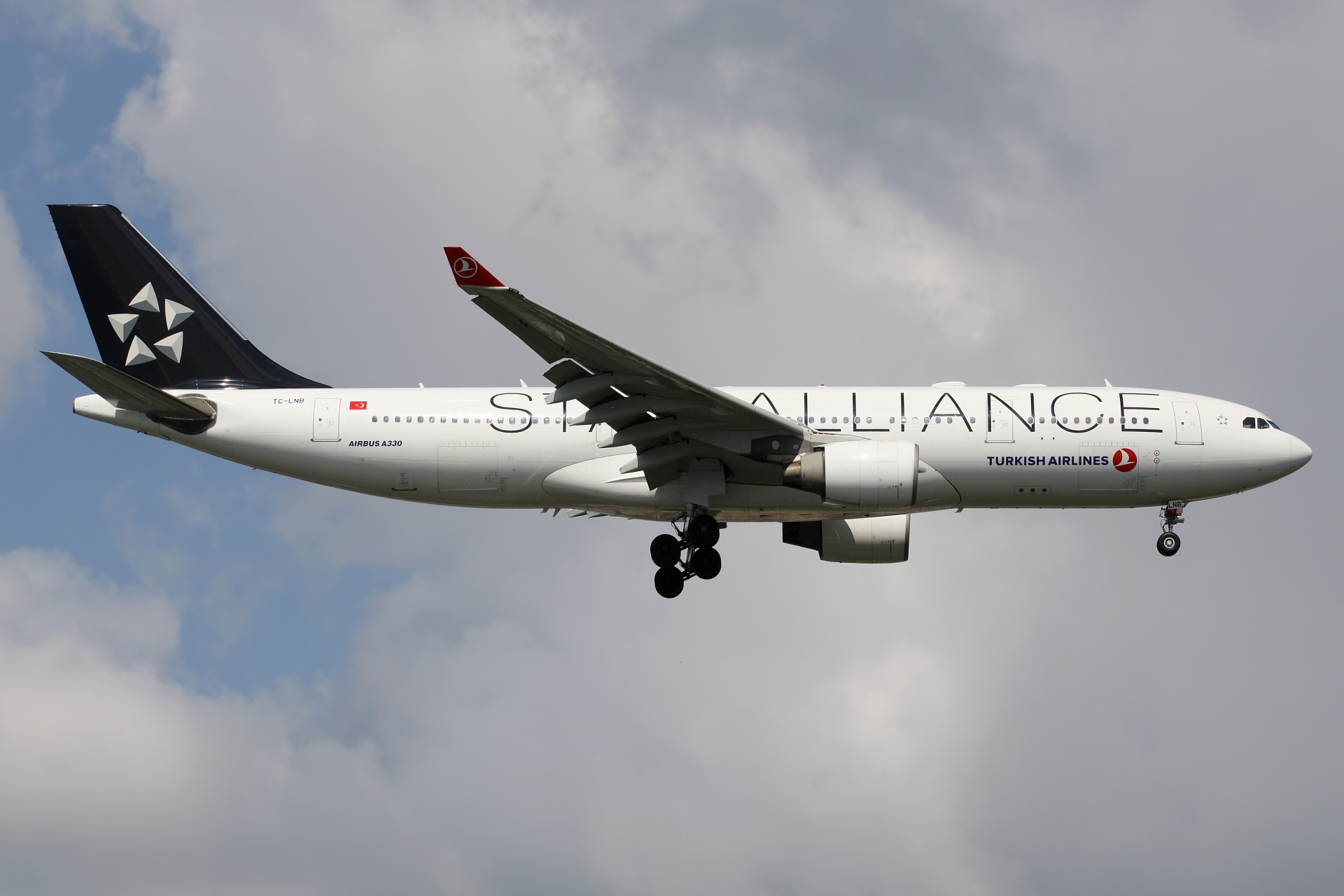 TC-LNB (Star Alliance livery) (Aircraft » Istanbul Atatürk Airport » Airbus A330-200 » THY Turkish Airlines)