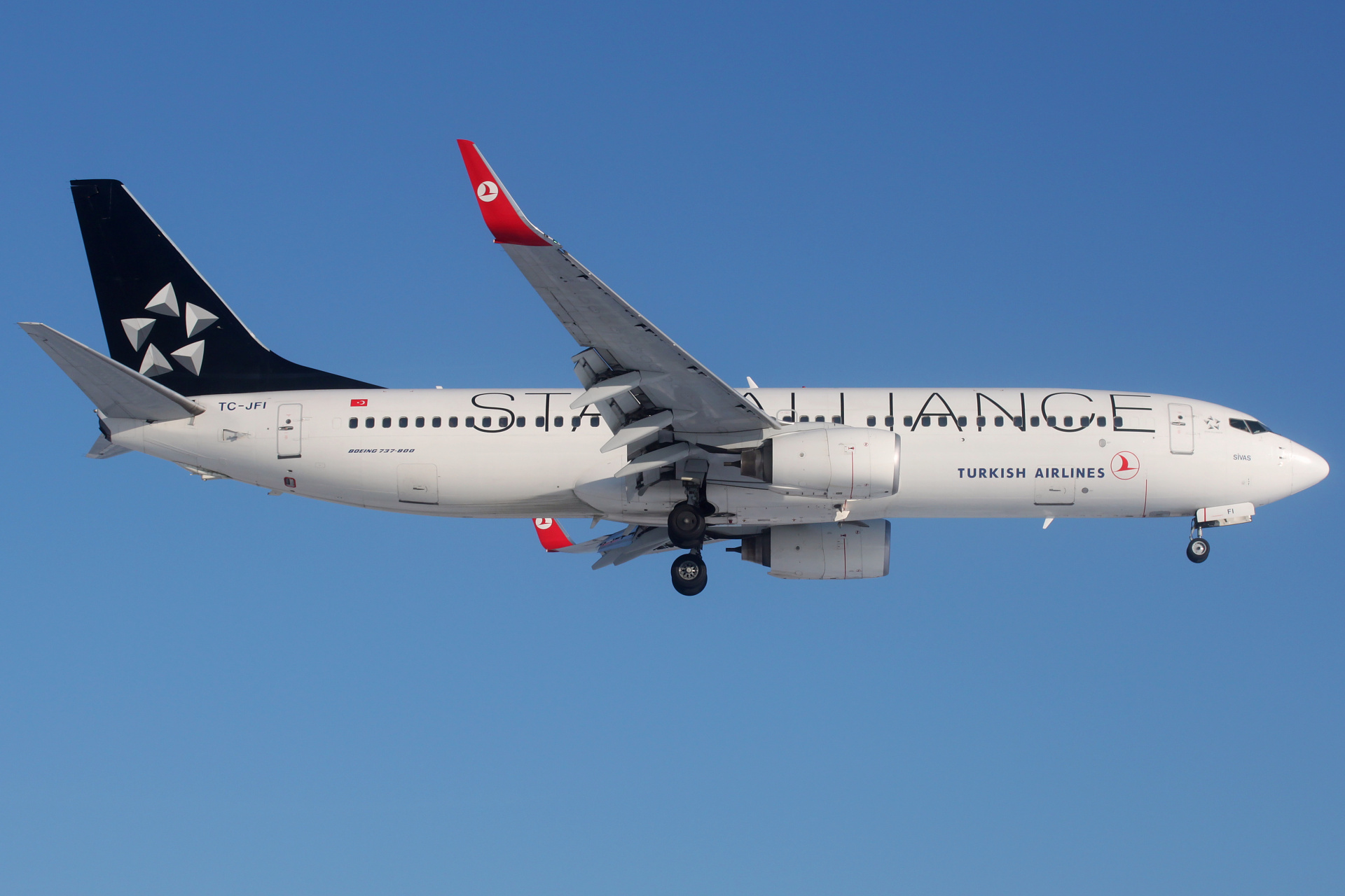TC-JFI (malowanie Star Alliance) (Samoloty » Spotting na EPWA » Boeing 737-800 » THY Turkish Airlines)