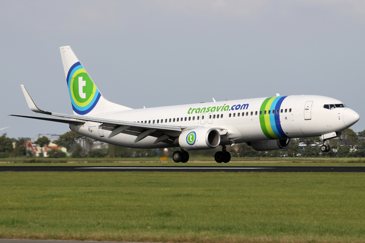 PH-HZG (Aircraft » Schiphol Spotting » Boeing 737-800 » Transavia)