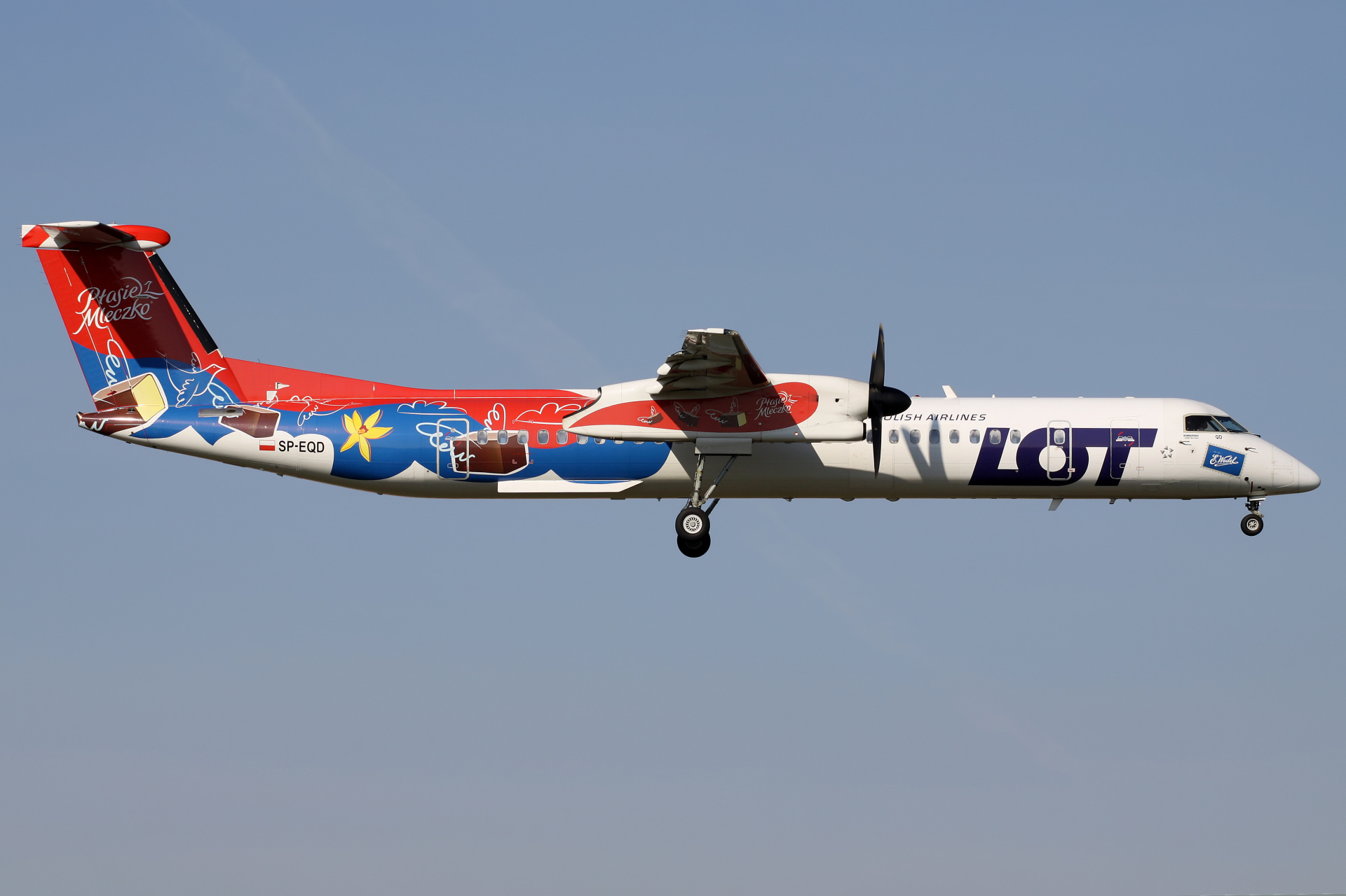 SP-EQD (malowanie Wedel Ptasie Mleczko) (Samoloty » Spotting na EPWA » De Havilland Canada DHC-8 Dash 8 » Polskie Linie Lotnicze LOT)