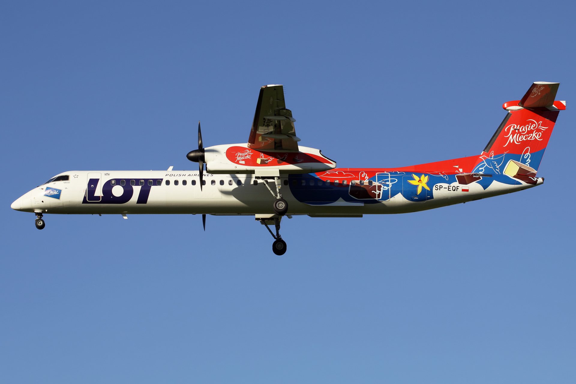 SP-EQF (malowanie Wedel Ptasie Mleczko) (Samoloty » Spotting na EPWA » De Havilland Canada DHC-8 Dash 8 » Polskie Linie Lotnicze LOT)