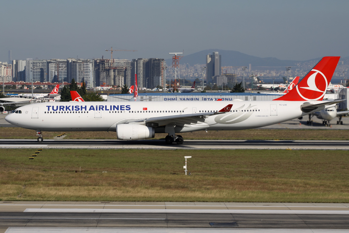 TC-LOC (Aircraft » Istanbul Atatürk Airport » Airbus A330-300 » THY Turkish Airlines)