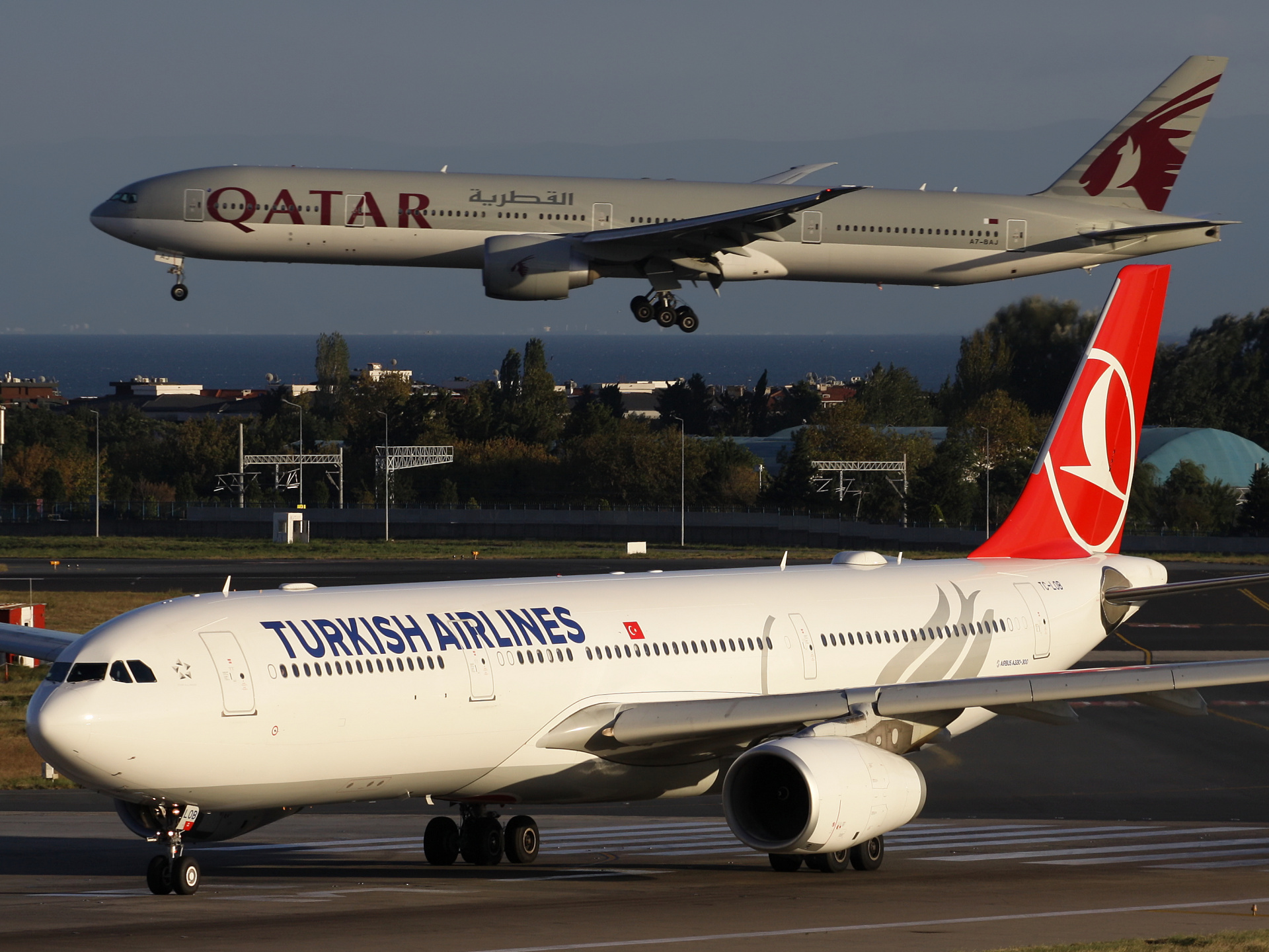 TC-LOB (Samoloty » Port Lotniczy im. Atatürka w Stambule » Airbus A330-300 » THY Turkish Airlines)