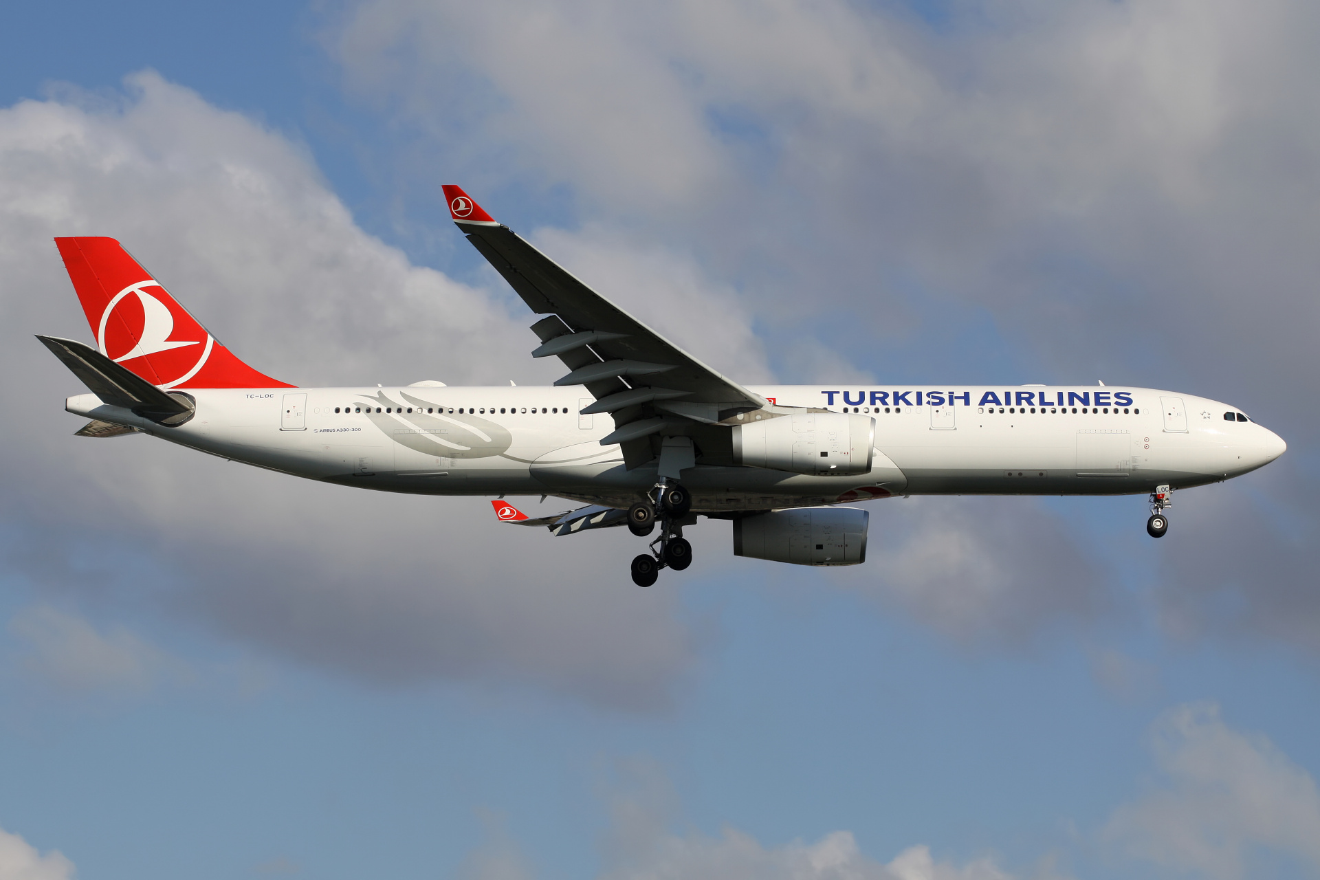 TC-LOC (Samoloty » Port Lotniczy im. Atatürka w Stambule » Airbus A330-300 » THY Turkish Airlines)
