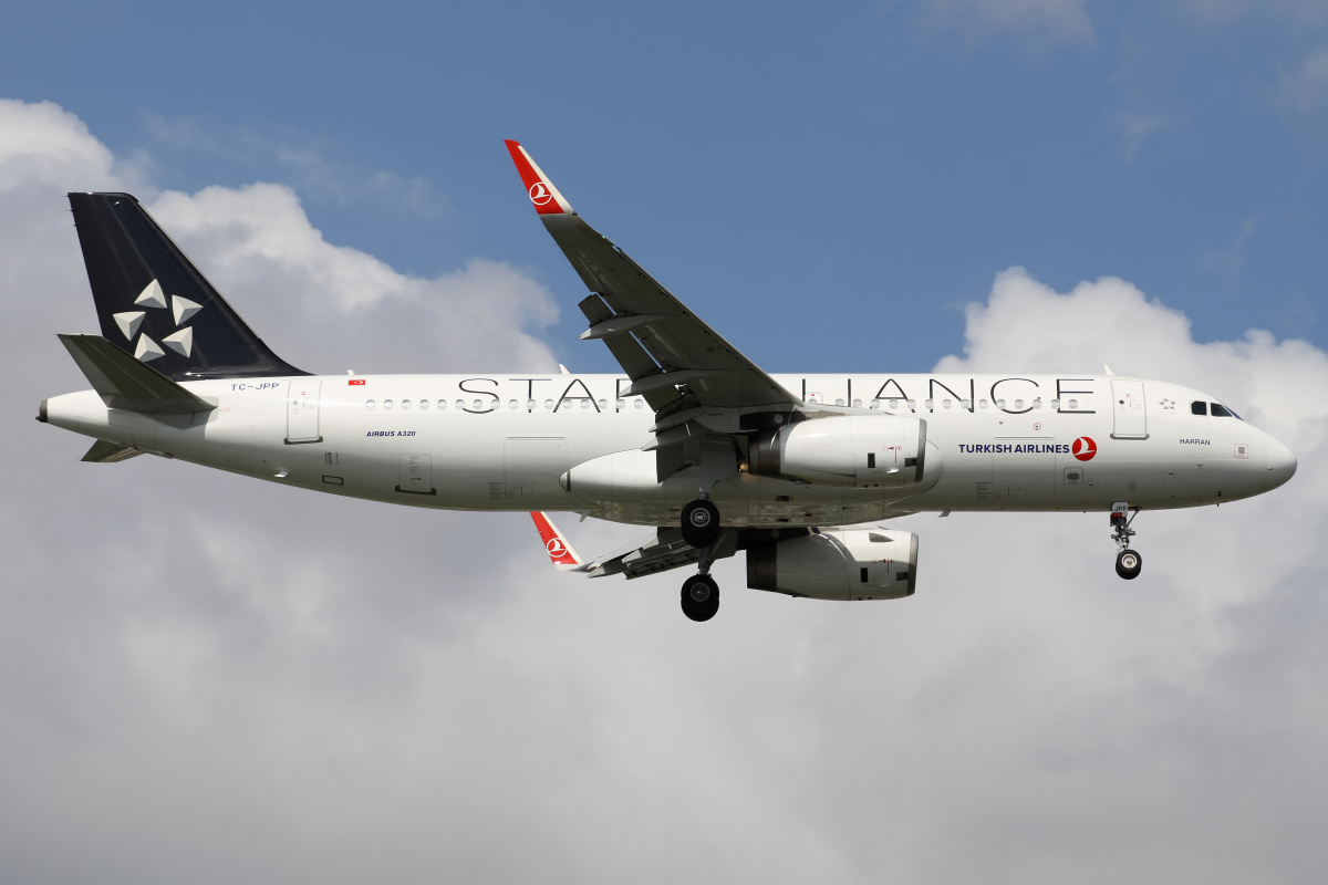 TC-JPP, THY Turkish Airlines (malowanie Star Alliance)