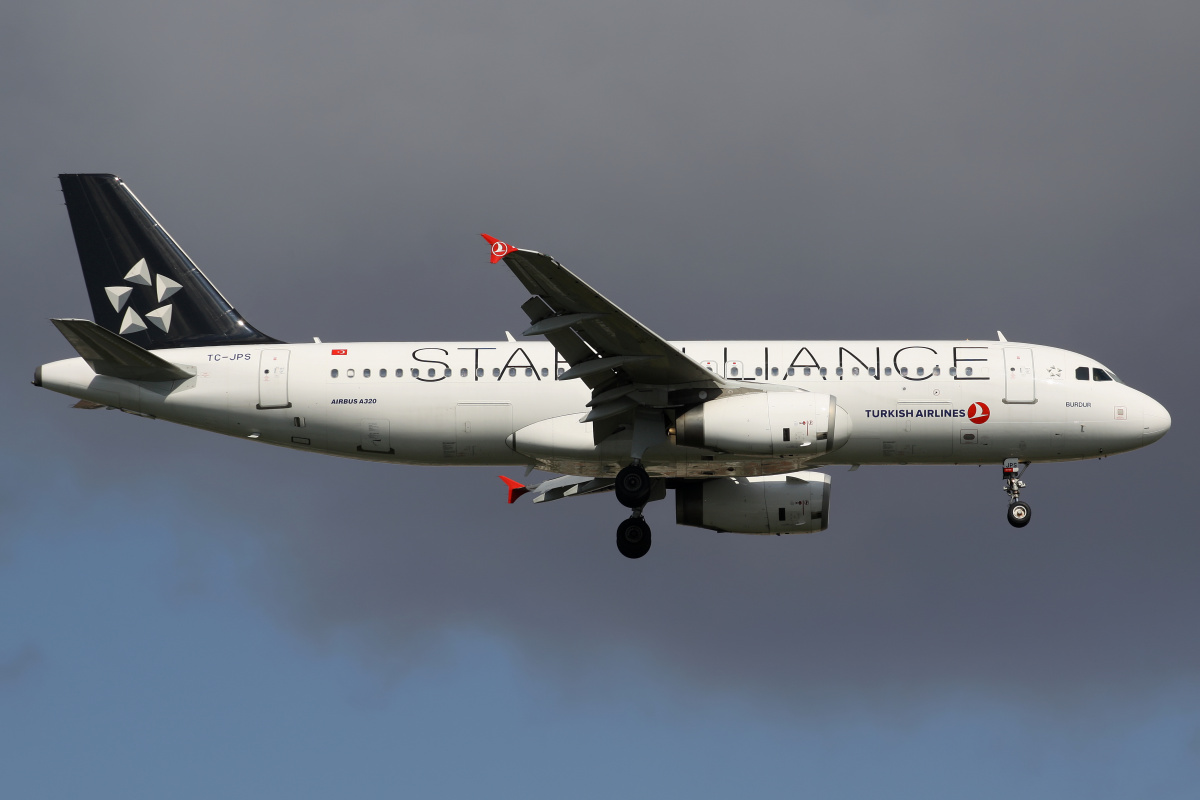 TC-JPS, THY Turkish Airlines (malowanie Star Alliance) (Samoloty » Port Lotniczy im. Atatürka w Stambule » Airbus A320-200)