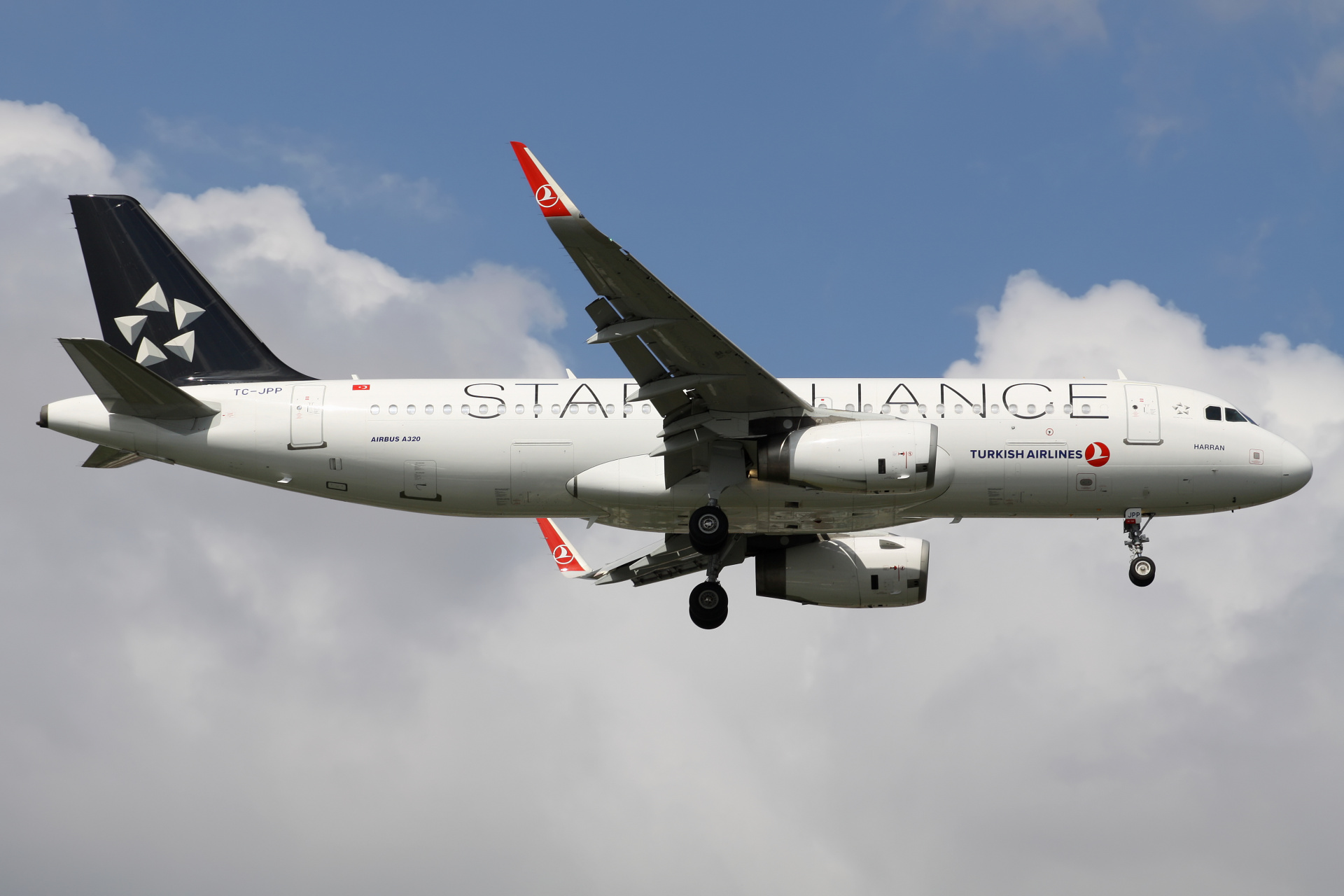 TC-JPP, THY Turkish Airlines (malowanie Star Alliance) (Samoloty » Port Lotniczy im. Atatürka w Stambule » Airbus A320-200)