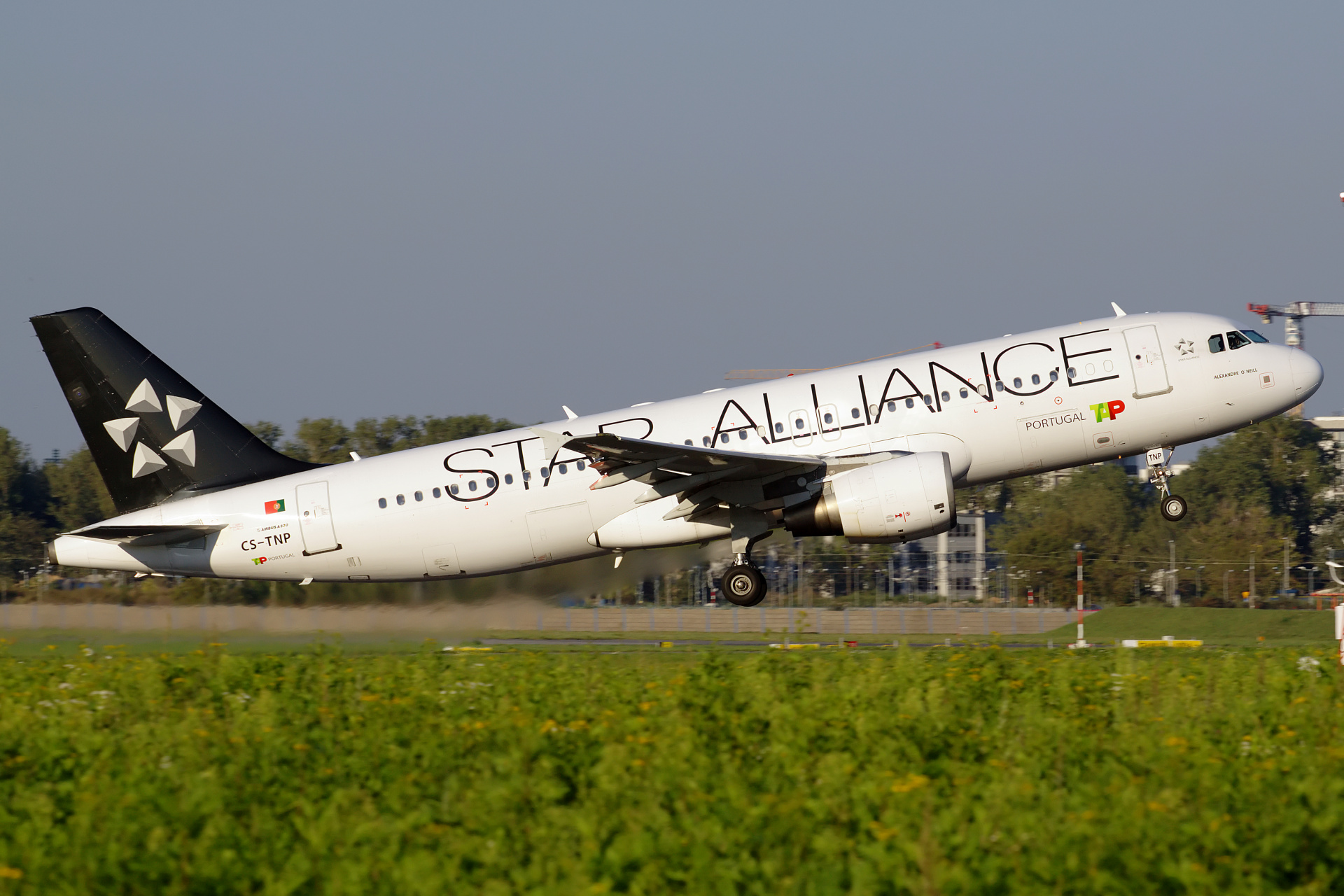 CS-TNP (malowanie Star Alliance) (Samoloty » Spotting na EPWA » Airbus A320-200 » TAP Air Portugal)