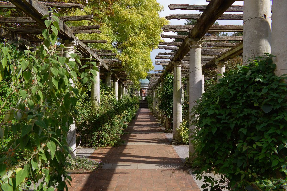 Pergola, Hampstead (Travels » London » London at Day)