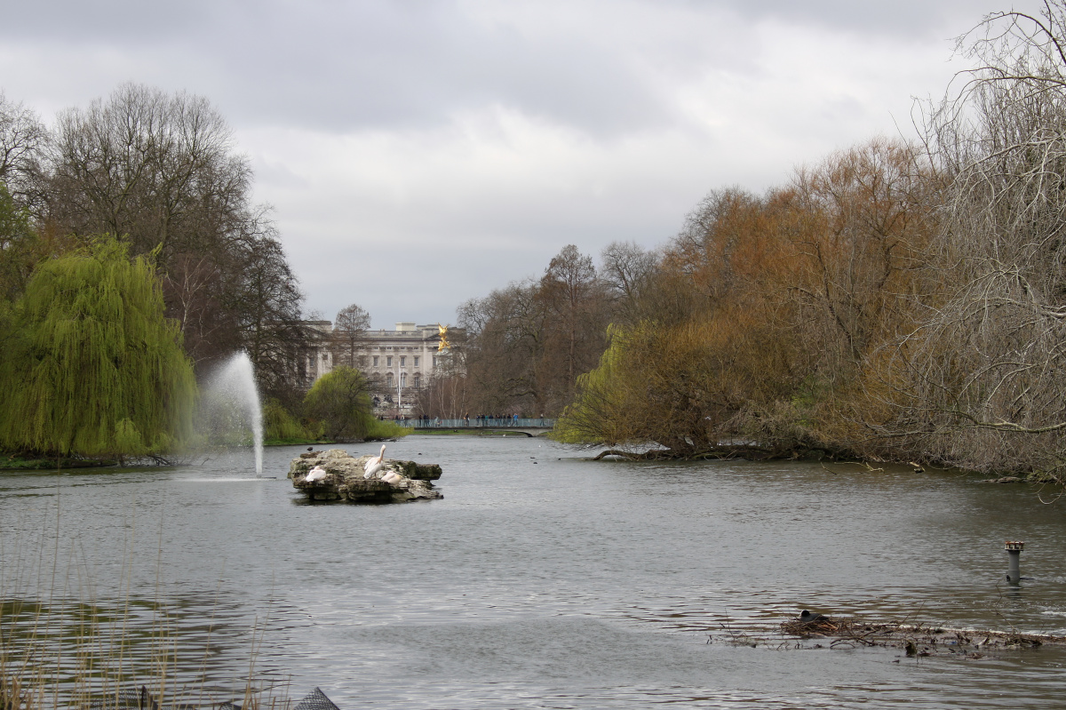 St James's Park Lake