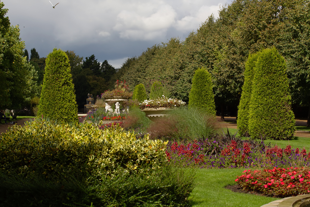 The Regent's Park - ogrody angielskie