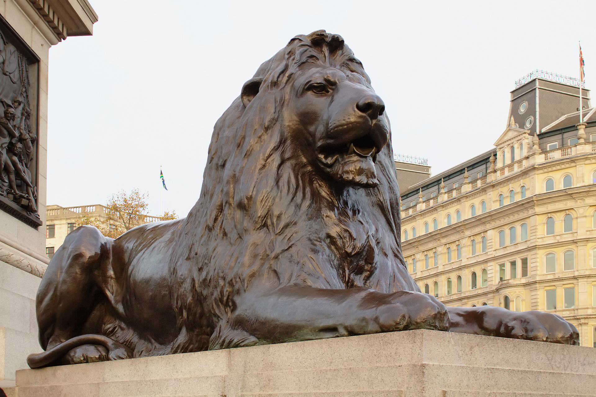 Trafalgar Square Lion (Travels » London » London at Day)
