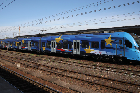 31WEba-001 ("The European" wrap)