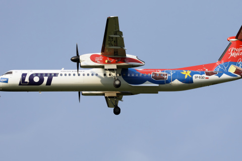 SP-EQD (okleina "Wedel Ptasie Mleczko")